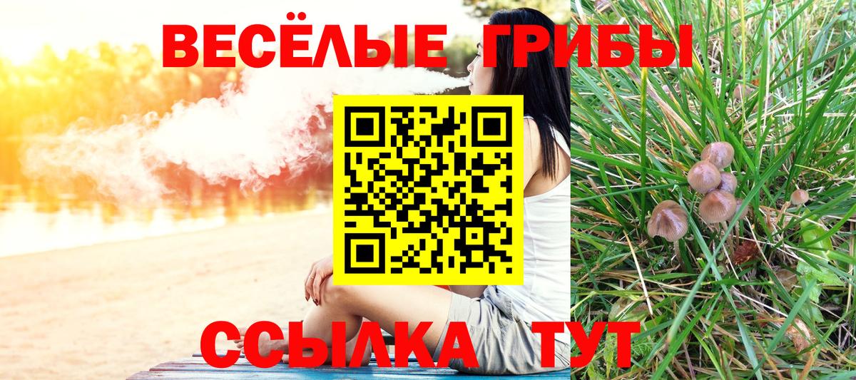 Псилоцибиновые грибы мицелий  Вход с VPN  где продают наркотики  Можайск 