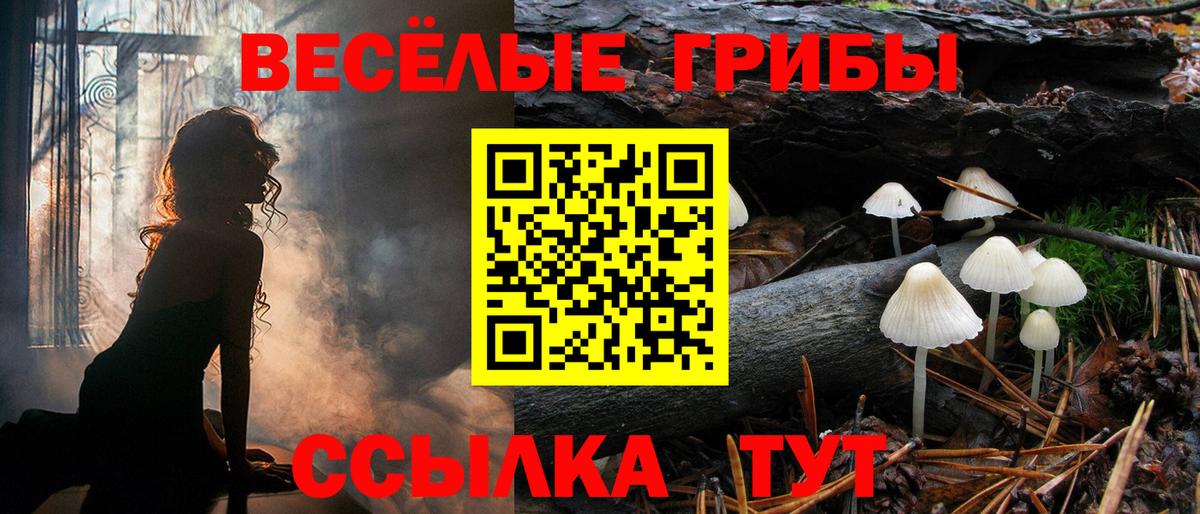 Галлюциногенные грибы MAGIC MUSHROOMS Можайск